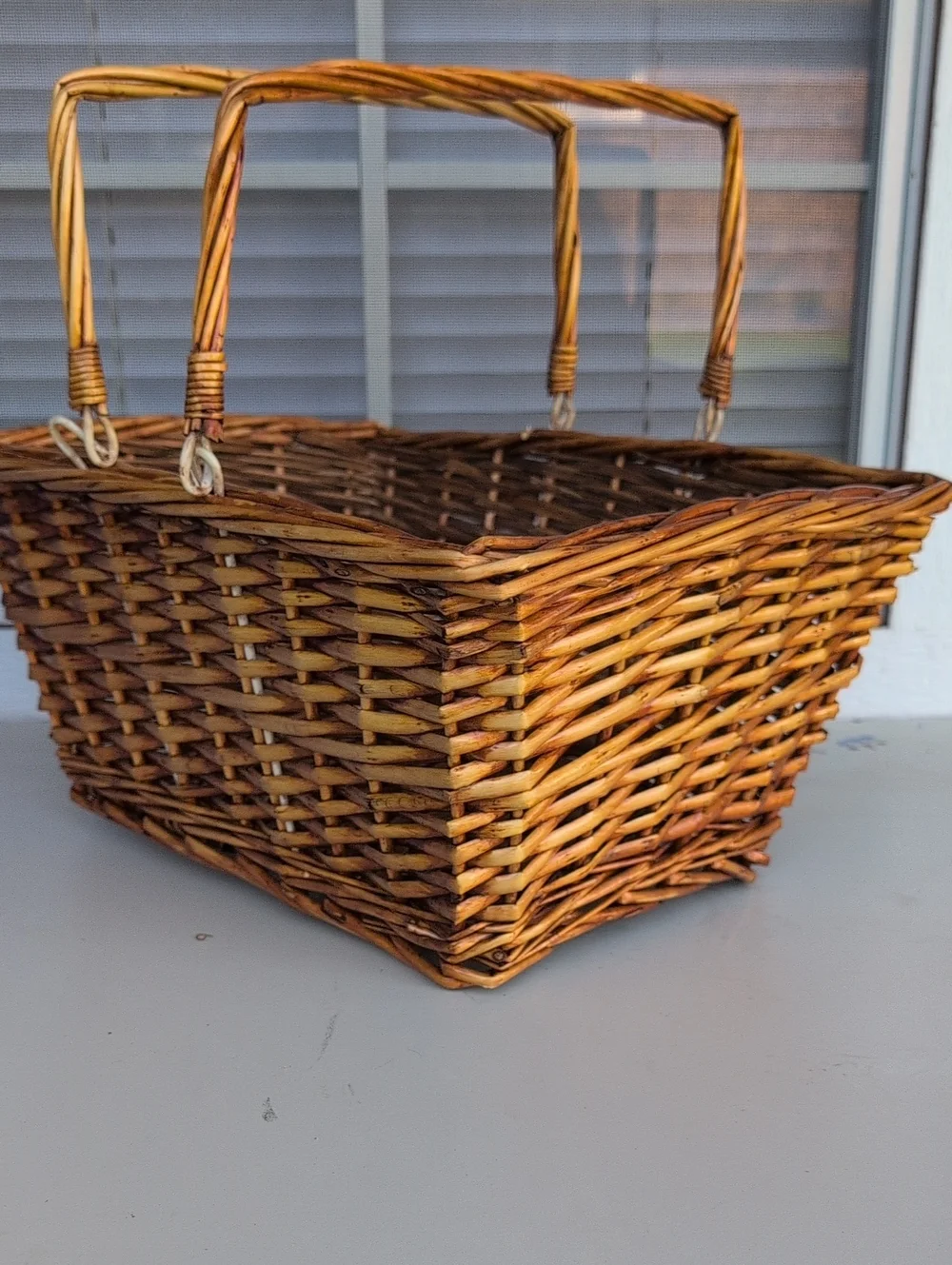 Vintage Woven Double-Handle Storage Basket - Brown (226)